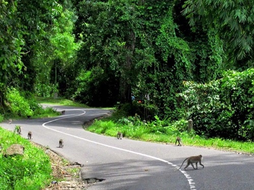 Paket Tour Lombok